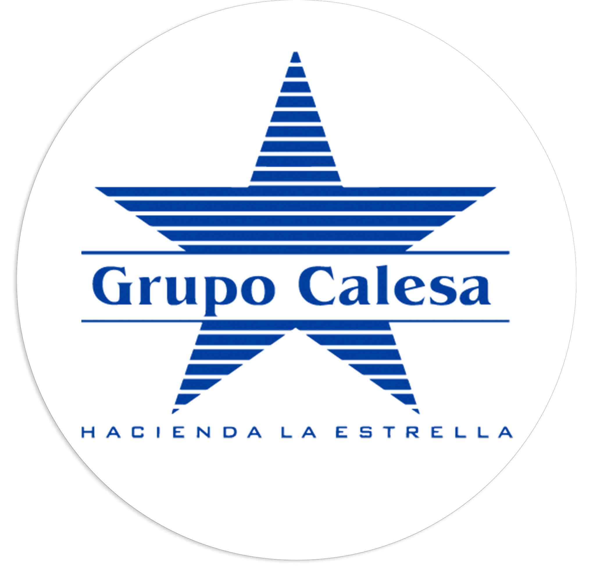 Logo Cliente Calesa